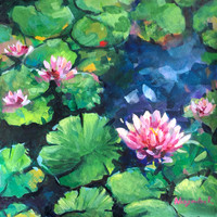 Waterlilies