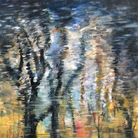 Water Reflection
