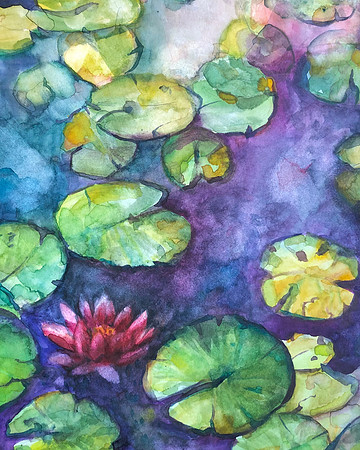 Lily Pads